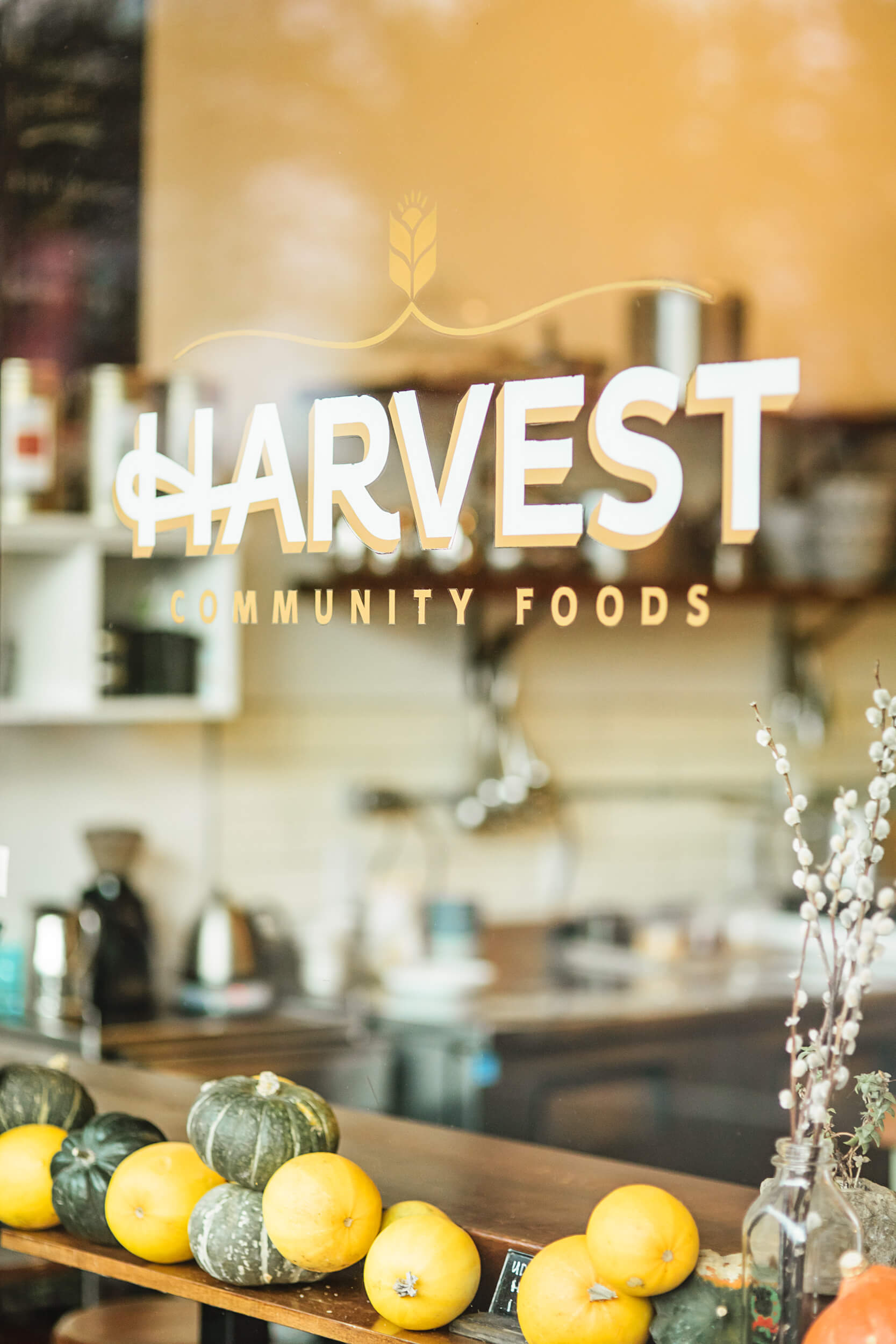 Harvest-4Nov2016-031